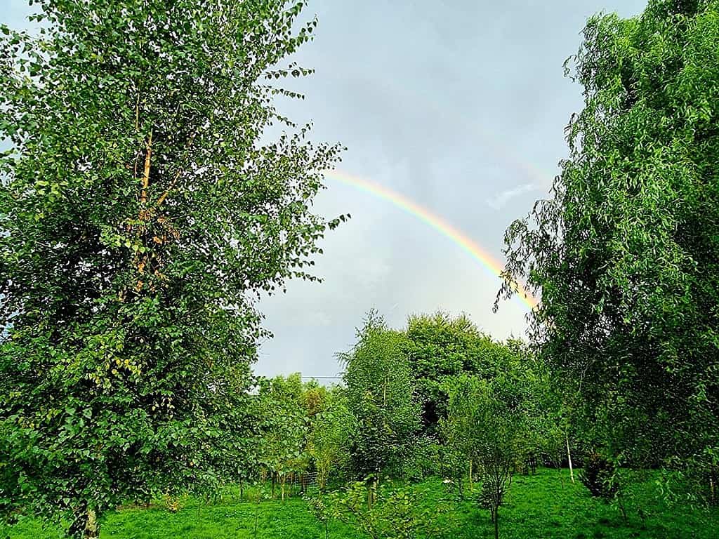 Regenbogensicht vom Garten aus