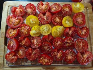 Mediterran gewürzte Tomaten