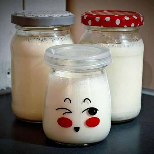 Joghurt selber machen