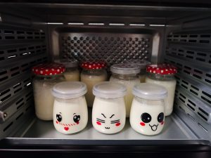 Joghurt im Dörrautomaten